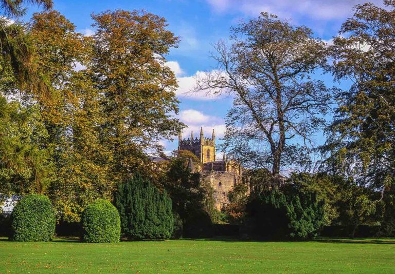 Enjoy a Relaxing Picnic in Dunfermline’s Parks